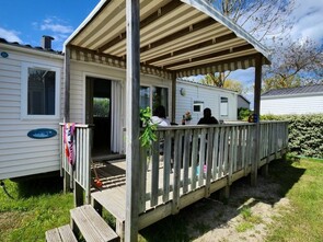1132-nl-446428-pict_8_1.jpg